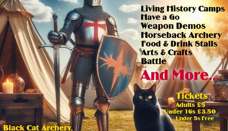 Battle For Black Cat Medieval Festival and Market