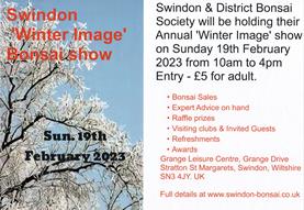 Swindon 'Winter Image' Bonsai show