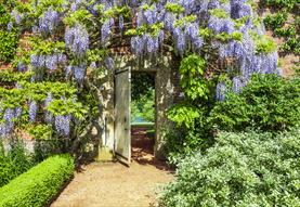Private Walled Garden Tours