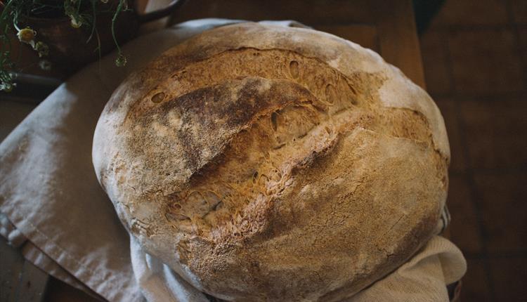 Sourdough Special Cookery Day With Dave Buxton