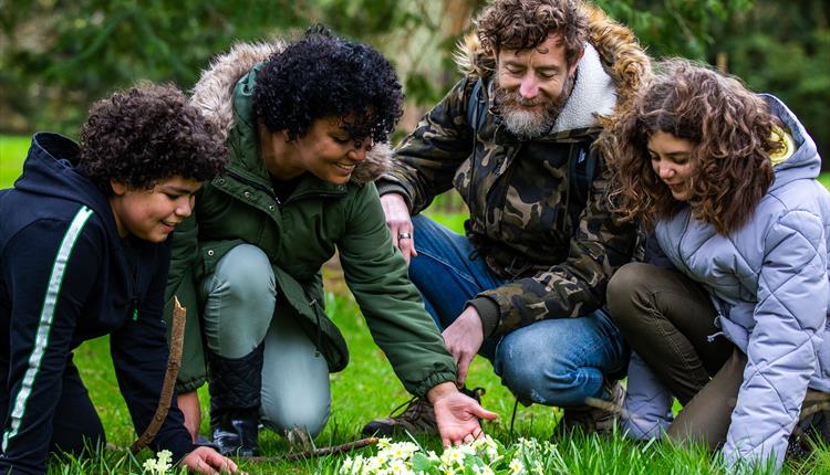 Spring family trail at Westonbirt Arboretum Spring family trail at Westonbirt Arboretum