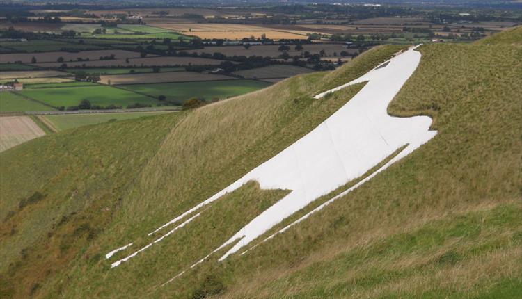 Westbury White Horse