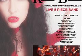Moments of Pleasure: The Music of Kate Bush