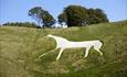 Cherhill Horse chalk hill figure