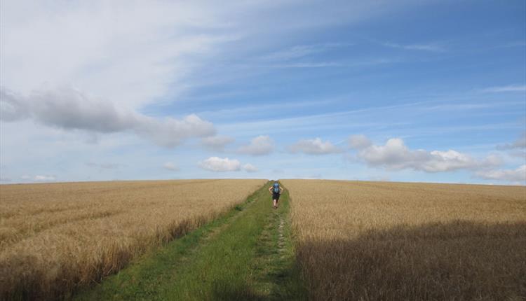 Walking Holidays in Wiltshire