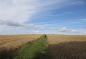 Walking Holidays in Wiltshire