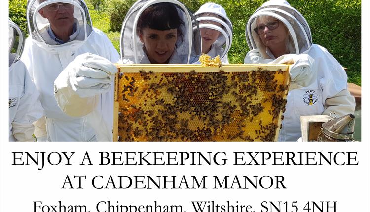 Enjoy a beekeeping experience at Cadenham Manor