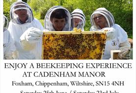 Enjoy a beekeeping experience at Cadenham Manor