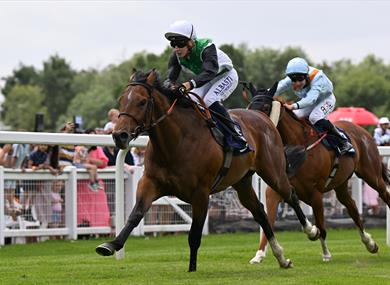 Horses racing down the rails past a crowd