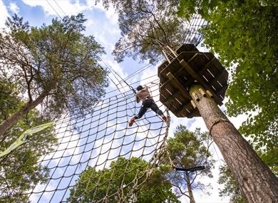 Go Ape - activities in the trees