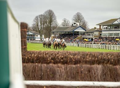 Jumps Racing at Royal Windsor Racecourse