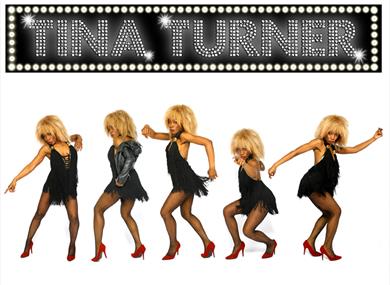Tina Turner Tribute night