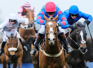 Ascot Racecourse; Jumps