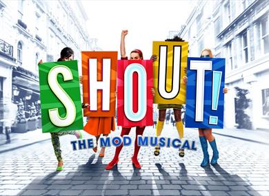 Shout! The Mod Musical