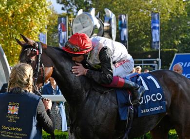 QIPCO British Champions Day - Star Catcher