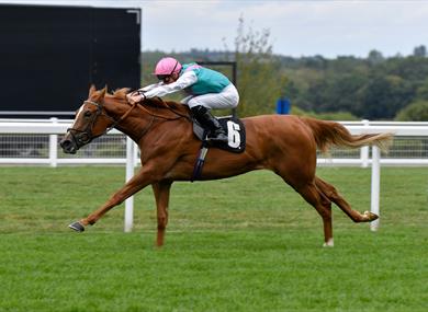 September Racing at Ascot