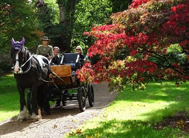 Ascot Carriages in Windsor Great Park