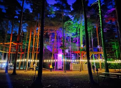 Sundown Adventures at Go Ape Bracknell - walkways and paths between the trees lit up in multicoloured lighting