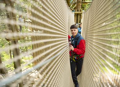Go Ape Activities