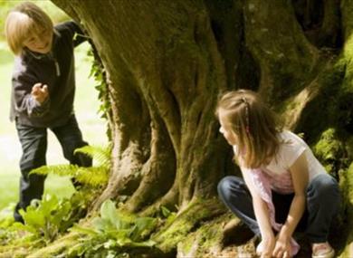 Children playing around tree