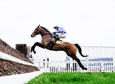 Jumps racing at Ascot Racecourse