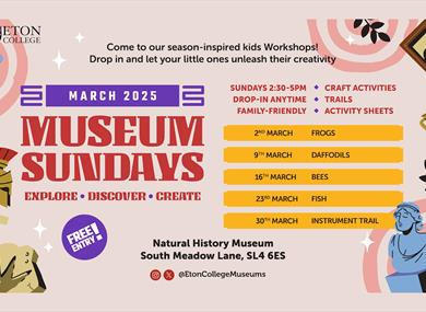 Museum Sundays at Eton College Museums