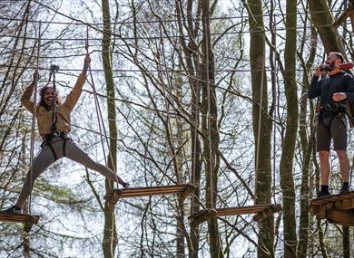 © Go Ape - people using ropes and planks to traverse amongst the treetops