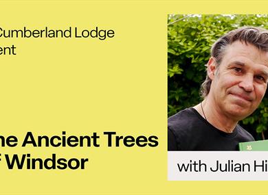 The Ancient Trees of Windsor, with a picture of Julian Hight