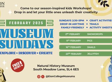 February Activities | Eton Natural History Museum