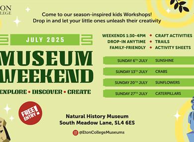 July Activities | Eton Natural History Museum