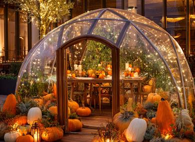 Pumpkin Pavilion Pod