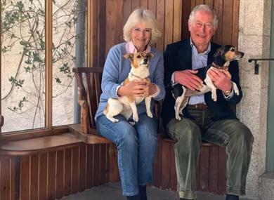 The King and The Queen with Jack Russell terriers