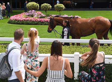 Summer Mile Weekend at Ascot