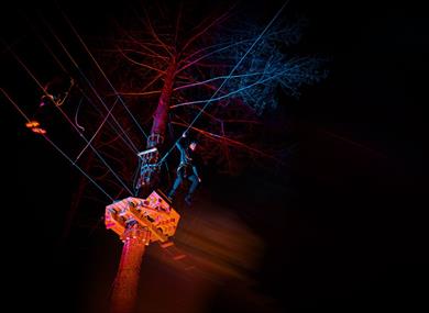 Go Ape Bracknell at Night