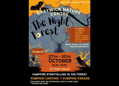 The Night Forest poster - BNC