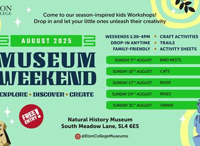 August Activities | Eton Natural History Museum