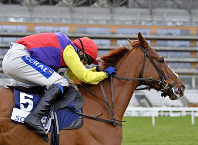 Betfair Ascot Chase Raceday at Ascot Racecourse