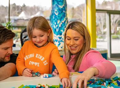 Family playing with LEGO bricks