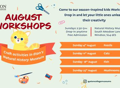 Eton College Museum August Workshop