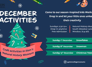 December Activities | Eton Natural History Museum