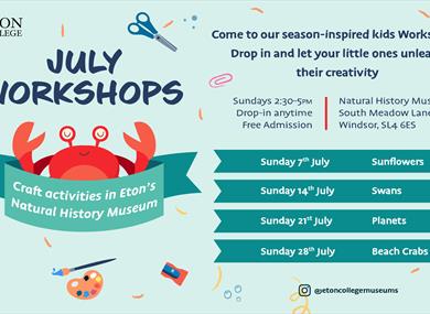 Eton College Museum July Workshops