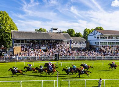 Royal Windsor Racecourse