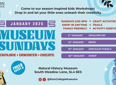 January Activities | Eton Natural History Museum