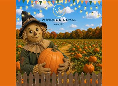Smiling scarecrow holding a pumpkin in a field full of pumpkins