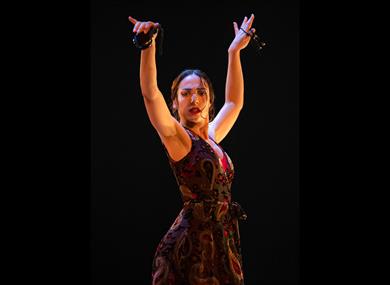 Rebeca Ortega Flamenco - dancing