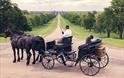 Windsor Carriages Crown Experience at top of The Long Walk