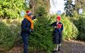 Family selecting a Christmas tree