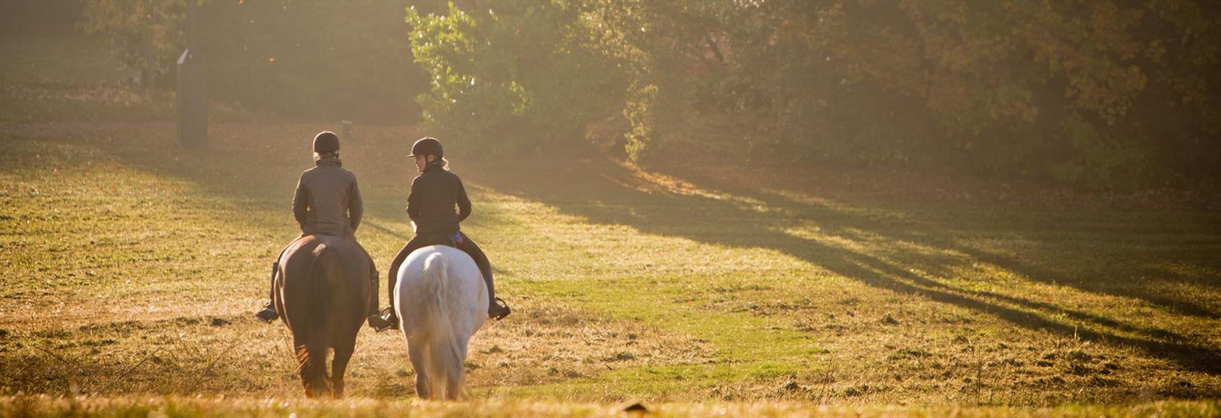 Riding at Coworth Park