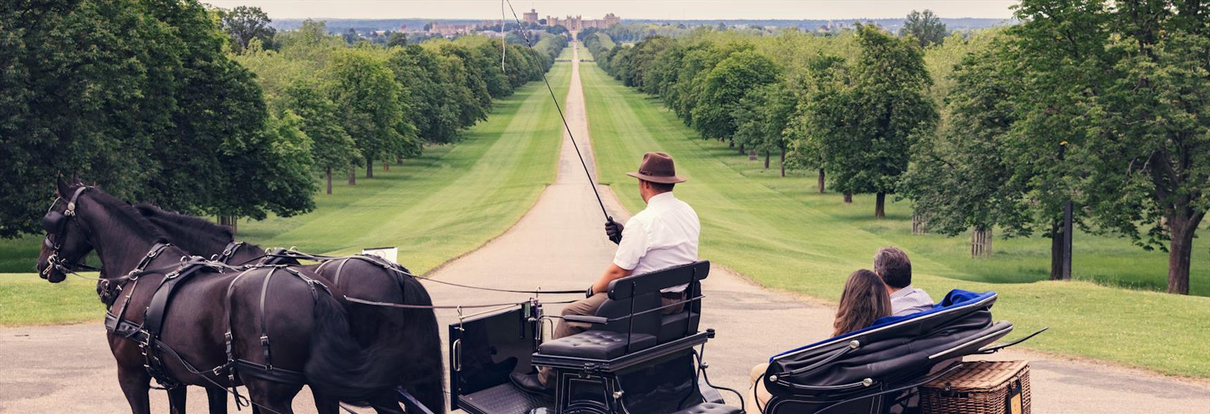 Windsor Carriages