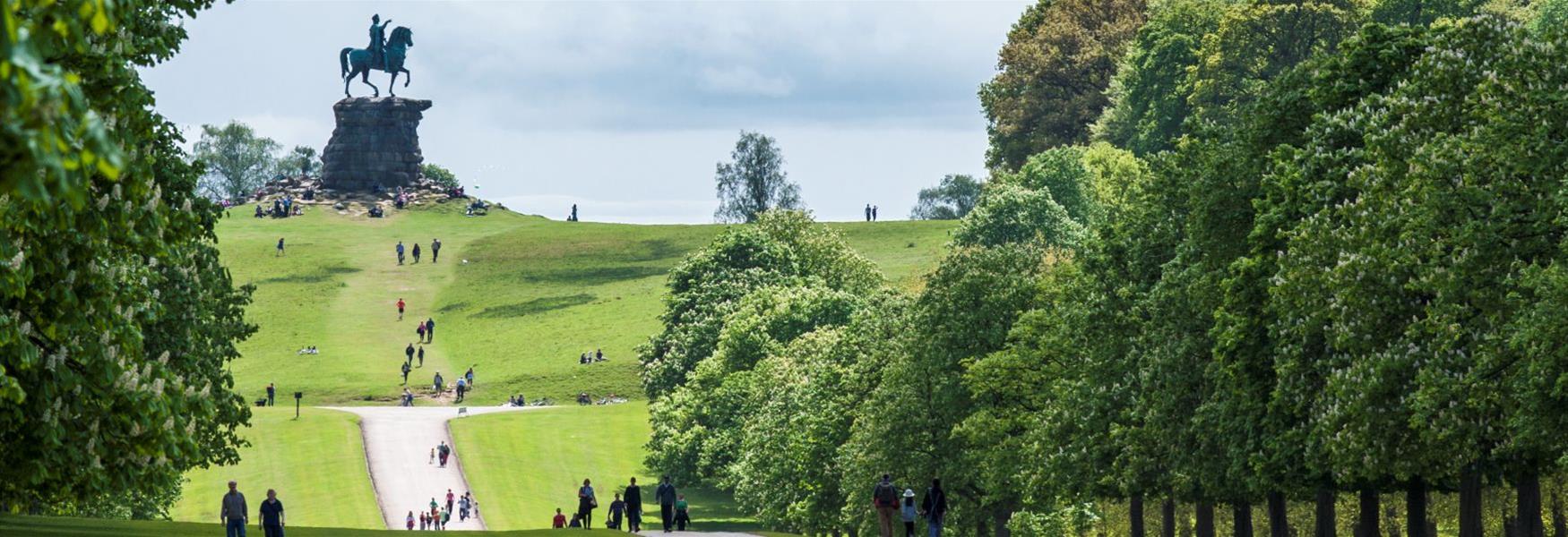 Copper Horse, copyright Windsor Great Park